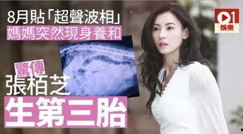 娱乐吃瓜酱母胎solo,揭秘娱乐圈单身贵族的趣味生活