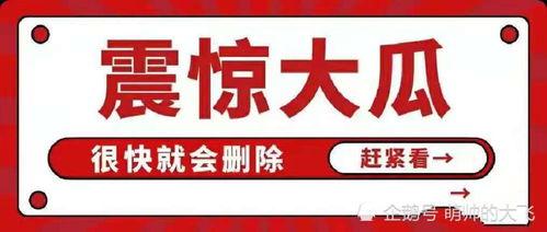 吃瓜娱乐圈八卦文件,吃瓜群众必看！