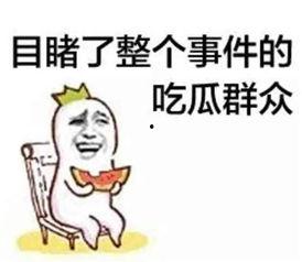 吃瓜猪娱乐彩礼问题,吃瓜猪娱乐深度解析彩礼问题