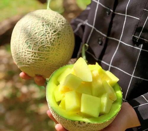 娱乐吃瓜屋,吃瓜屋带你探秘明星幕后故事