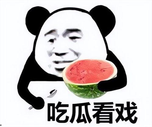 娱乐吃瓜酱很火吗,网络热度的秘密解析