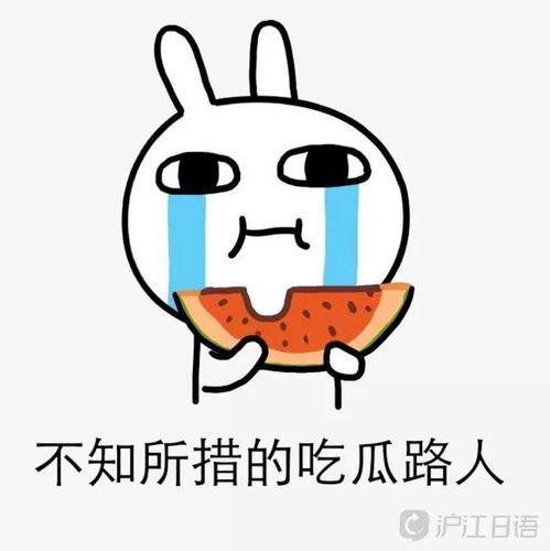 娱乐吃瓜粤语怎么说,粤语版“娱乐吃瓜”速成指南