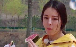 娱乐圈吃瓜杨幂鹿晗,杨幂鹿晗瓜田乱舞，揭秘幕后真相